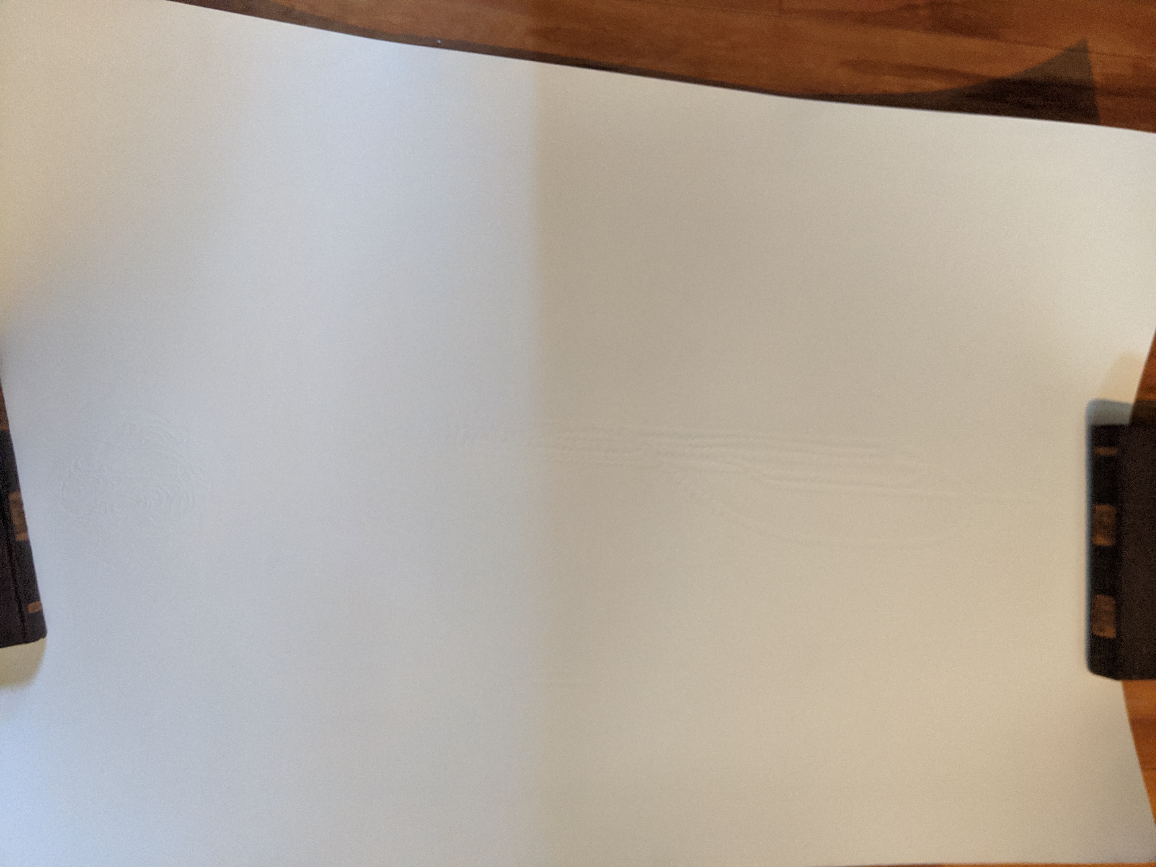 Robert Peak String of Pearls LTD Ed Lithograph