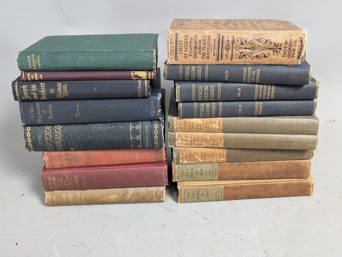 Lot of 17 Antique and Vintage Hardcover Books Multiple Genres Collectible Literature