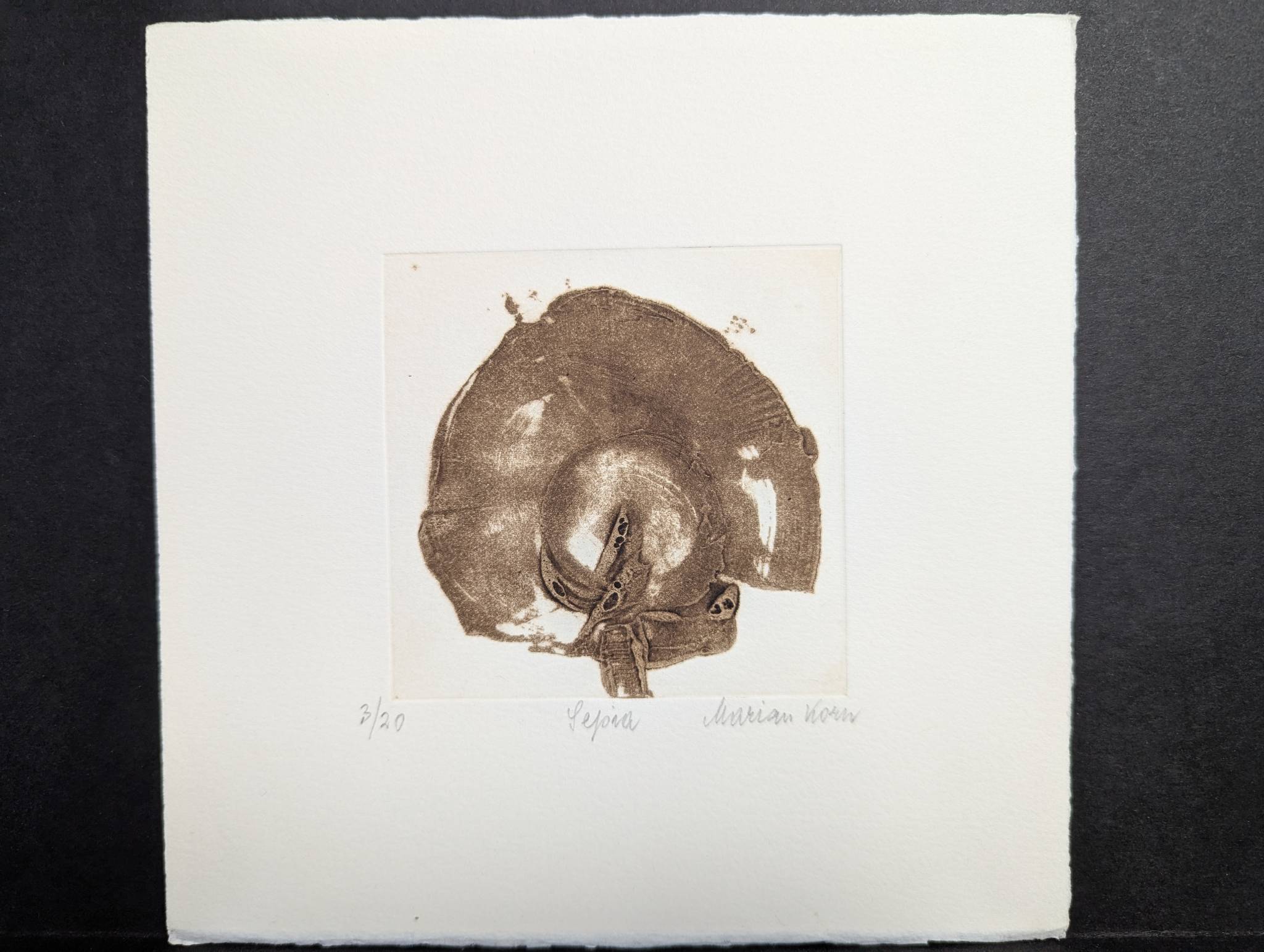 Japanese Woodblock Print Sepia by Marian Korn