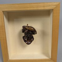 Folk Art Apple Head Carving by Shep Shapiro