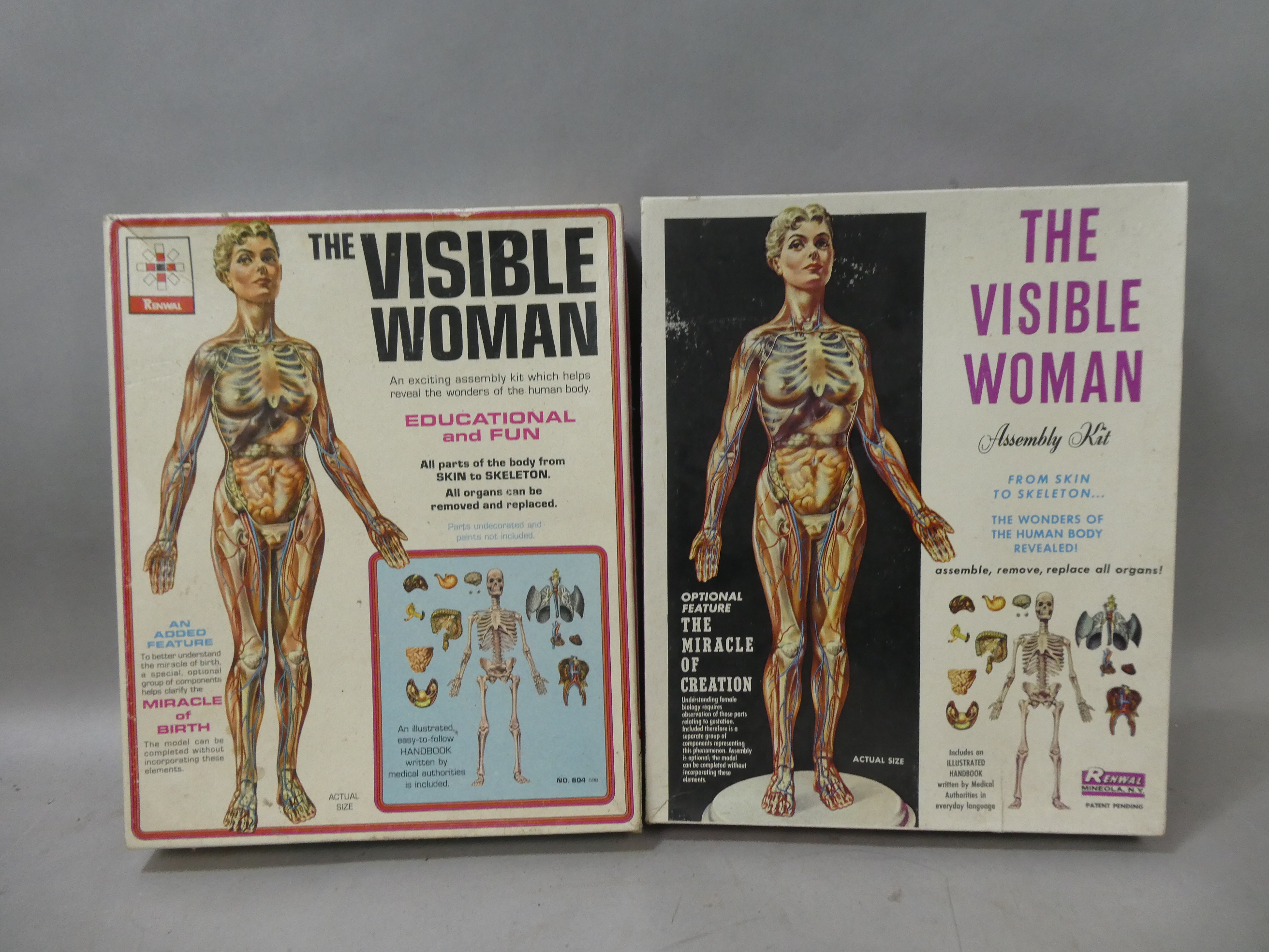 Pair NOS c1960 Renwal The Visible Woman Model Kit NO 804 & 804:598