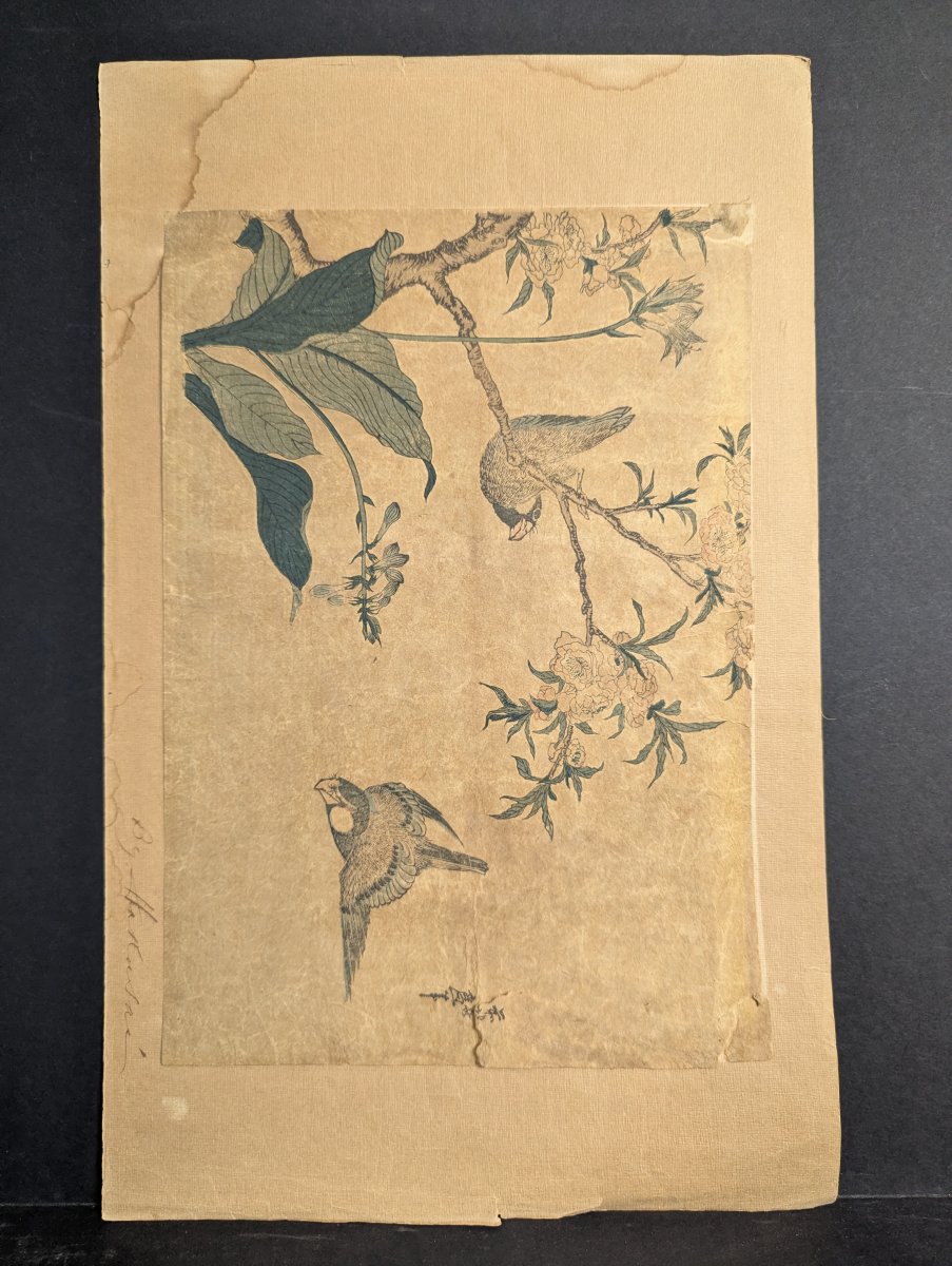 Reproduction of Katsushika Hokusai's 'Bullfinch and Weeping Cherry' Japanese Woodblock Print