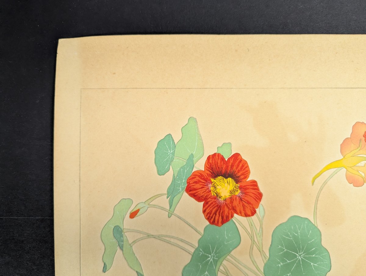 Japanese Woodblock Print 'Nasturtium' by Rakuzan Tsuchiya