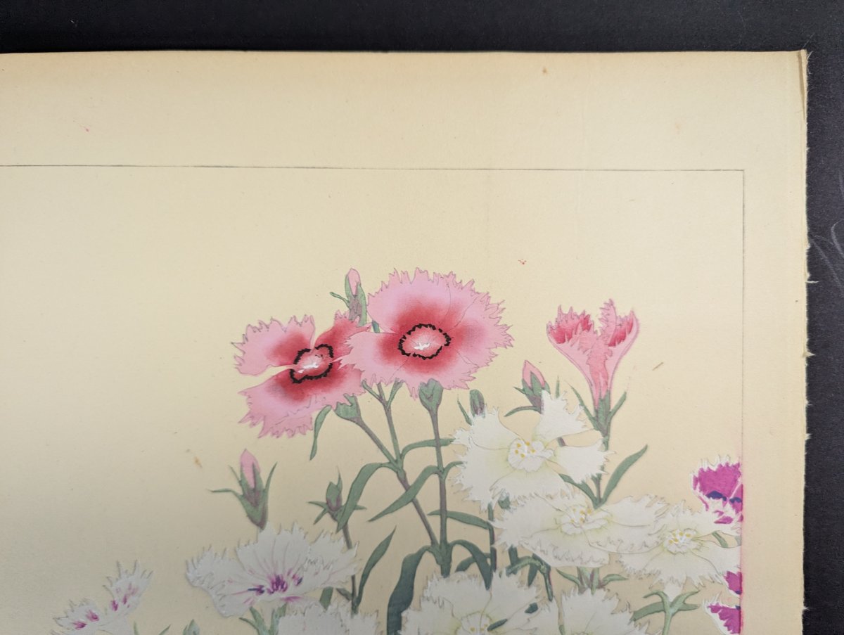 Rakuzan Tsuchiya Dianthus Japanese Woodblock Print