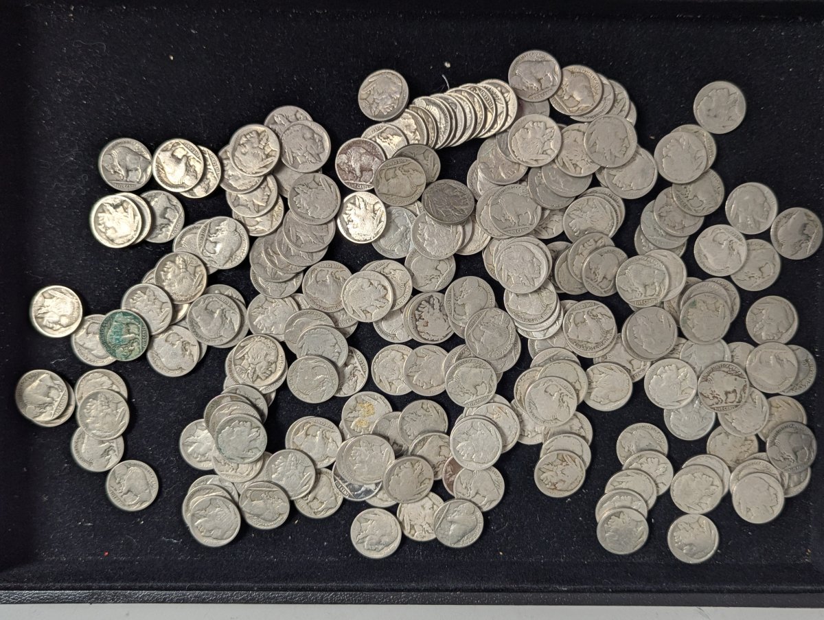 Bulk Lot of 2.4 Pounds No Date U.S. Buffalo Nickels by James Earle Fraser - Fair Grade