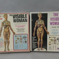 Pair NOS c1960 Renwal The Visible Woman Model Kit NO 804 & 804:598