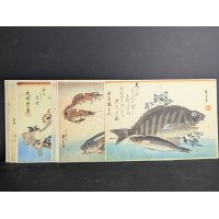 Andō Hiroshige from a series of 'grand fishes' Japanese Woodblock Print Reproductions